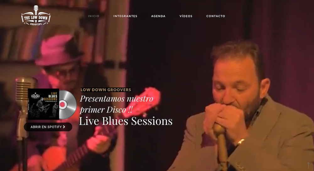 Blues tradicional - Low Down Groovers